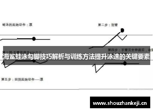 海鲨蛙泳勾脚技巧解析与训练方法提升泳速的关键要素
