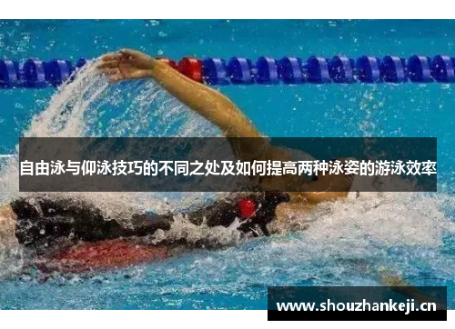 自由泳与仰泳技巧的不同之处及如何提高两种泳姿的游泳效率