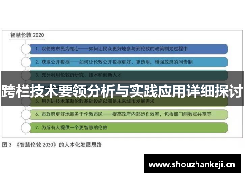 跨栏技术要领分析与实践应用详细探讨